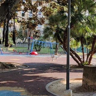 Ratti a Sanremo, allarme igiene e sicurezza: “Presenze quotidiane anche nei giardini frequentati dai bambini”
