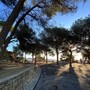 Giardini Regina Elena a Sanremo, un lettore: "La tutela del verde prima delle pavimentazioni. Le piante non sono arredo, ma esseri vivi da proteggere” Giardini Regina Elena a Sanremo, un lettore: "La tutela del verde prima delle pavimentazioni. Le piante non sono arredo, ma esseri vivi da proteggere”