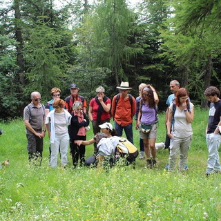 Colle Melosa: oltre 30 partecipanti domenica scorsa per una giornata dedicata alle erbe spontanee Colle Melosa: oltre 30 partecipanti domenica scorsa per una giornata dedicata alle erbe spontanee