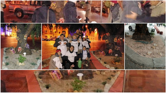 Ventimiglia: 'attacco verde' di Albintimilium nella notte dell'Immacolata, abbellite le aiuole di fronte al Comune (Foto)