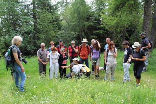 Colle Melosa: oltre 30 partecipanti domenica scorsa per una giornata dedicata alle erbe spontanee Colle Melosa: oltre 30 partecipanti domenica scorsa per una giornata dedicata alle erbe spontanee