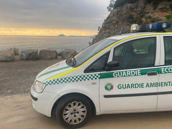 GADIT avvia la nuova campagna volontari: al via il corso 2026 per diventare Guardie Eco‑Zoofile