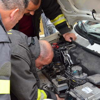 Sanremo: fugge dal trasportino e si rifugia nel motore di un'auto, nemmeno i pompieri riescono a fermarlo