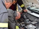 Sanremo: fugge dal trasportino e si rifugia nel motore di un'auto, nemmeno i pompieri riescono a fermarlo