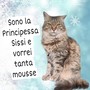 Sanremo, al Rifugio ENPA tornano le letterine a Babbo Natale: i protagonisti sono cani e gatti in cerca di un dono Sanremo, al Rifugio ENPA tornano le letterine a Babbo Natale: i protagonisti sono cani e gatti in cerca di un dono