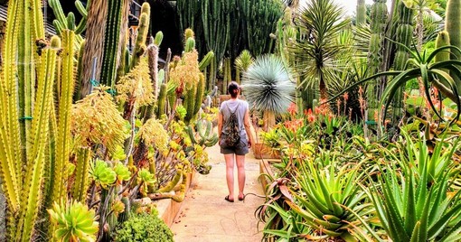 Bordighera: riapre martedì prossimo il Giardino Esotico Pallanca dopo la manutenzione durante il lockdown