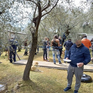 Le foto postate sui social