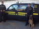 Ventimiglia: con il 'cash dog' ed i cani antidroga due spacciatori fermati dalla Guardia di Finanza al confine (Foto)