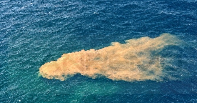 Depuratore di Riva Ligure, 28mila unità di Escherichia coli e condotta danneggiata. La Capitaneria: “Una delle cause” per la balneazione Depuratore di Riva Ligure, 28mila unità di Escherichia coli e condotta danneggiata. La Capitaneria: “Una delle cause” per la balneazione