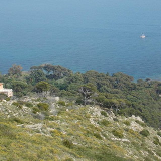 A grande richiesta torna con 'Liber Theatrum' il teatro itinerante ai Giardini Hanbury di Ventimiglia