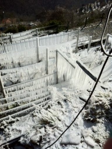 Freddo intenso in tutta la provincia. ecco le foto del ghiaccio di stamattina a Carpasio