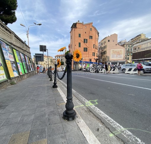 I girasoli lasciati sul paletto di via Martiri della Libertà I girasoli lasciati sul paletto di via Martiri della Libertà