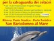 San Bartolomeo al Mare: oggi è il giorno del Progetto Pelagos per la salvaguardia dei cetacei San Bartolomeo al Mare: oggi è il giorno del Progetto Pelagos per la salvaguardia dei cetacei