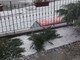 Entroterra di Imperia colpito dalla grandine: fulmini, forti precipitazioni e preoccupazione per olive e ortaggi (Foto e video) Entroterra di Imperia colpito dalla grandine: fulmini, forti precipitazioni e preoccupazione per olive e ortaggi (Foto e video)