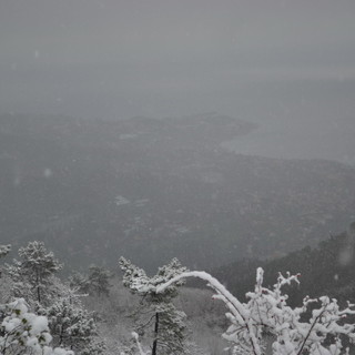 Nevicata sul Ponente e a Limonetto, le suggestive immagini di tre lettori Nevicata sul Ponente e a Limonetto, le suggestive immagini di tre lettori