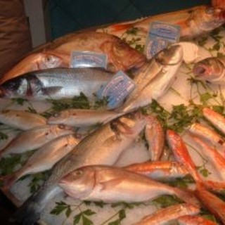 Ventimiglia: controlli della Guardia Costiera, multa e chiusura per un ristorante orientale