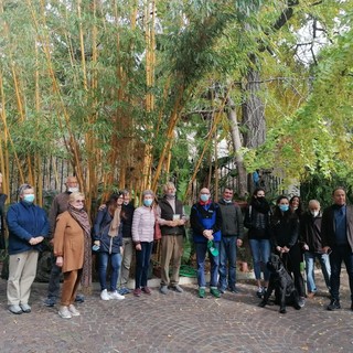 Per la Giornata Nazionale degli Alberi, oggi omaggio agli alberi storici di Bordighera con Italia Nostra e il Comitato Spontaneo del Verde