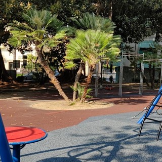 Sanremo: al via la prossima settimana i lavori per la riqualificazione dei giardini alla Foce Sanremo: al via la prossima settimana i lavori per la riqualificazione dei giardini alla Foce