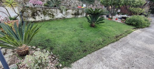 Sanremo: manca solo l'ok del Consiglio, sta per scattare la sperimentazione per il conferimento del verde Sanremo: manca solo l'ok del Consiglio, sta per scattare la sperimentazione per il conferimento del verde