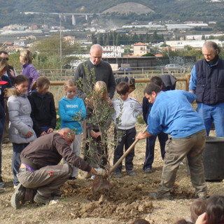 Taggia: ieri la 'Giornata nazionale dell’albero' e la 'Festa dei diritti dell’infanzia e dell’adolescenza'