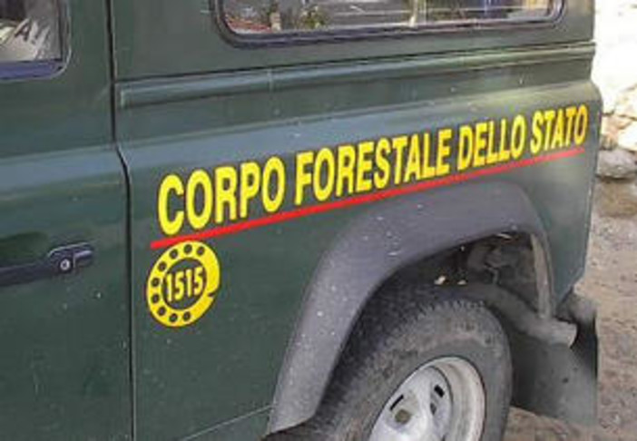 Sanremo: scoperte dal Corpo Forestale dello Stato alcune discariche abusive
