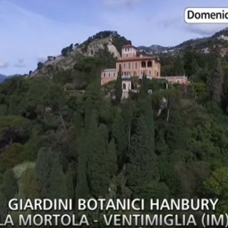 Ventimiglia: importante promozione per il 150° anniversario dei Giardini Hanbury ieri su 'Striscia la Notizia' (Video) Ventimiglia: importante promozione per il 150° anniversario dei Giardini Hanbury ieri su 'Striscia la Notizia' (Video)