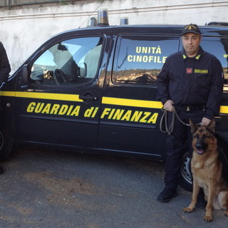 Ventimiglia: con il 'cash dog' ed i cani antidroga due spacciatori fermati dalla Guardia di Finanza al confine (Foto)