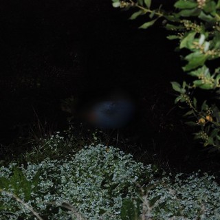 Sanremo: trovato il cadavere di un 80enne su una sponda del torrente San Martino