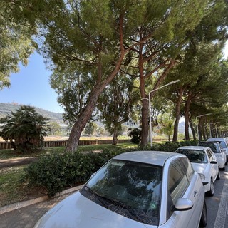 Taggia: non solo via Mazzini, per la Rigenerazione Urbana si punta anche a rifare un parco