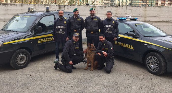 Ventimiglia: nuovi arresti per traffico internazionale di stupefacenti, sequestro di 8 kg di droga Ventimiglia: nuovi arresti per traffico internazionale di stupefacenti, sequestro di 8 kg di droga