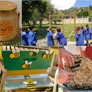 Le immagini delle iniziative per la Giornata Mondiale delle Api