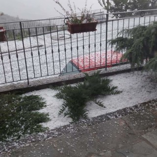Entroterra di Imperia colpito dalla grandine: fulmini, forti precipitazioni e preoccupazione per olive e ortaggi (Foto e video)