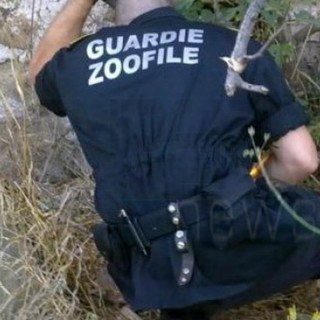 Ventimiglia: riprendono i controlli congiunti della Polizia Locale e delle guardie zoofile, Marenco "Servizio che va oltre l'individuazione delle deiezioni canine"