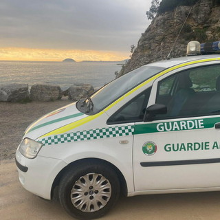 GADIT avvia la nuova campagna volontari: al via il corso 2026 per diventare Guardie Eco‑Zoofile