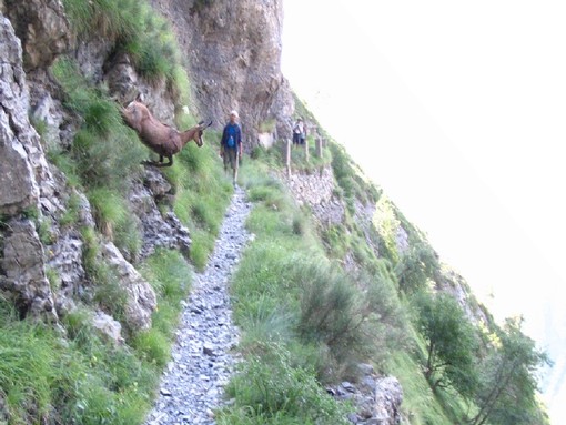 Domenica prossima l'escursione sul 'Sentiero degli Alpini' Domenica prossima l'escursione sul 'Sentiero degli Alpini'