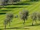 Golf: 110 giocatori al Club degli Ulivi di Sanremo per la Coppa d’Autunno, tutti i risultati