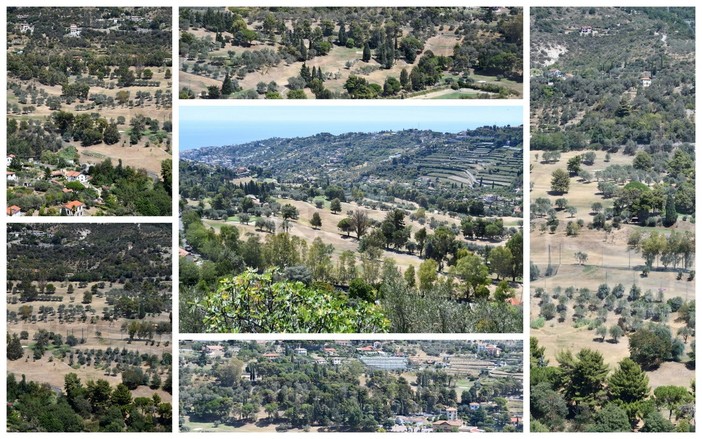 Sanremo: campi ormai 'gialli' al Golf degli Ulivi a causa della siccità, centellinata l'acqua per l'irrigazione