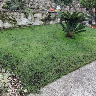 Sanremo: manca solo l'ok del Consiglio, sta per scattare la sperimentazione per il conferimento del verde