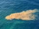 Depuratore di Riva Ligure, 28mila unità di Escherichia coli e condotta danneggiata. La Capitaneria: “Una delle cause” per la balneazione Depuratore di Riva Ligure, 28mila unità di Escherichia coli e condotta danneggiata. La Capitaneria: “Una delle cause” per la balneazione