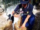 Guardie zoofile OIPA in Liguria, aperte le iscrizioni ai corsi gratuiti per entrare a tutela degli animali Guardie zoofile OIPA in Liguria, aperte le iscrizioni ai corsi gratuiti per entrare a tutela degli animali