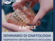 Sabato prossimo, seminario di Gnatologia ‘Dispositivi ortodontici e occlusali per il paziente disfunzionale’ Sabato prossimo, seminario di Gnatologia ‘Dispositivi ortodontici e occlusali per il paziente disfunzionale’