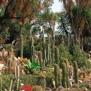 A Ventimiglia e Bordighera, domenica apertura straordinaria