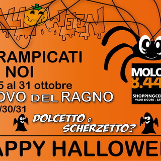 Happy Halloween allo shopping center Molo 8.44 di Vado Ligure: un’intera settimana di divertimento!