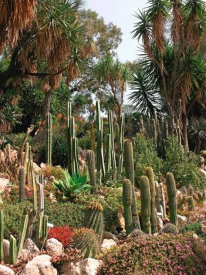 A Ventimiglia e Bordighera, domenica apertura straordinaria