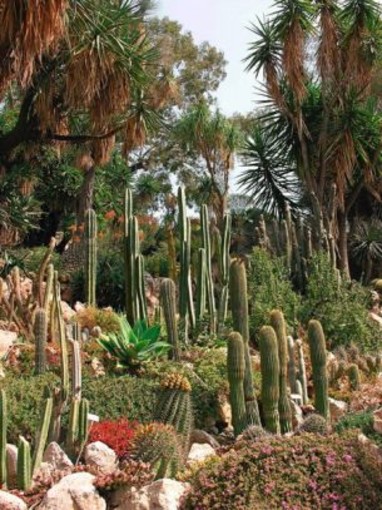 A Ventimiglia e Bordighera, domenica apertura straordinaria