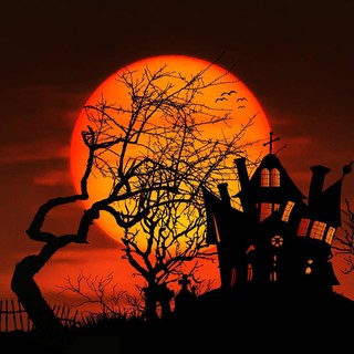 La magia di Halloween a Sanremo in un doppio appuntamento a San Romolo e nella Pigna