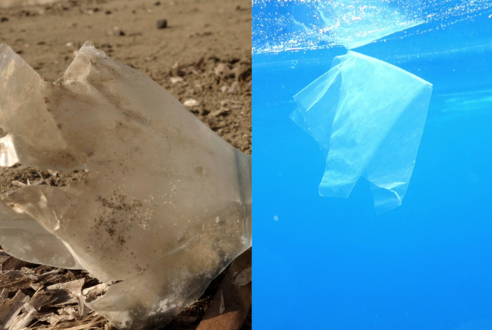 Il Soroptimist International Club di Sanremo promuove una Call for Students sul tema: “I nostri rifiuti: un mare malato”. Il Soroptimist International Club di Sanremo promuove una Call for Students sul tema: “I nostri rifiuti: un mare malato”.