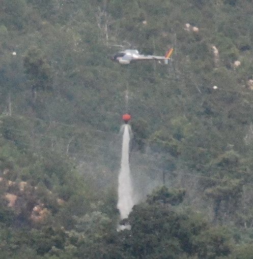 Sanremo: incendio nella zona di Pian della Castagna, poco sotto località San Romolo Sanremo: incendio nella zona di Pian della Castagna, poco sotto località San Romolo