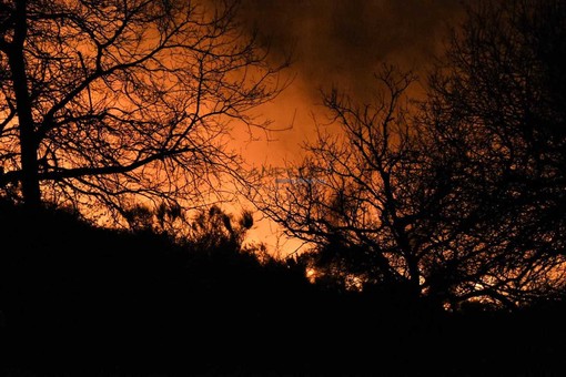 Le immagini dell'incendio
