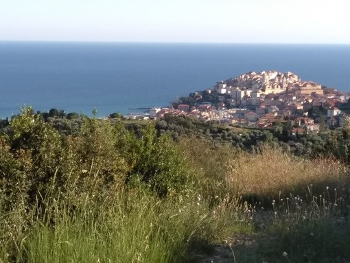 Emergenza: Imperia attiva nuovo sistema di comunicazione “Per messaggi importanti tutti i telefoni della città squilleranno in contemporanea” Emergenza: Imperia attiva nuovo sistema di comunicazione “Per messaggi importanti tutti i telefoni della città squilleranno in contemporanea”